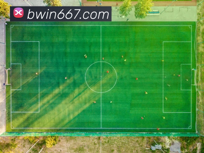 bwin必赢全站App